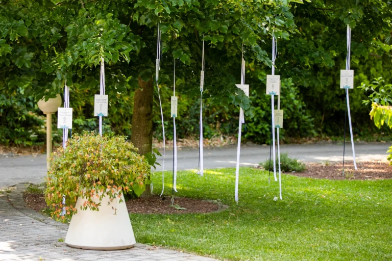 Fogli di carta appesi con dei nastri bianchi ai rami di un grande albero pieno di foglie, in un giardino