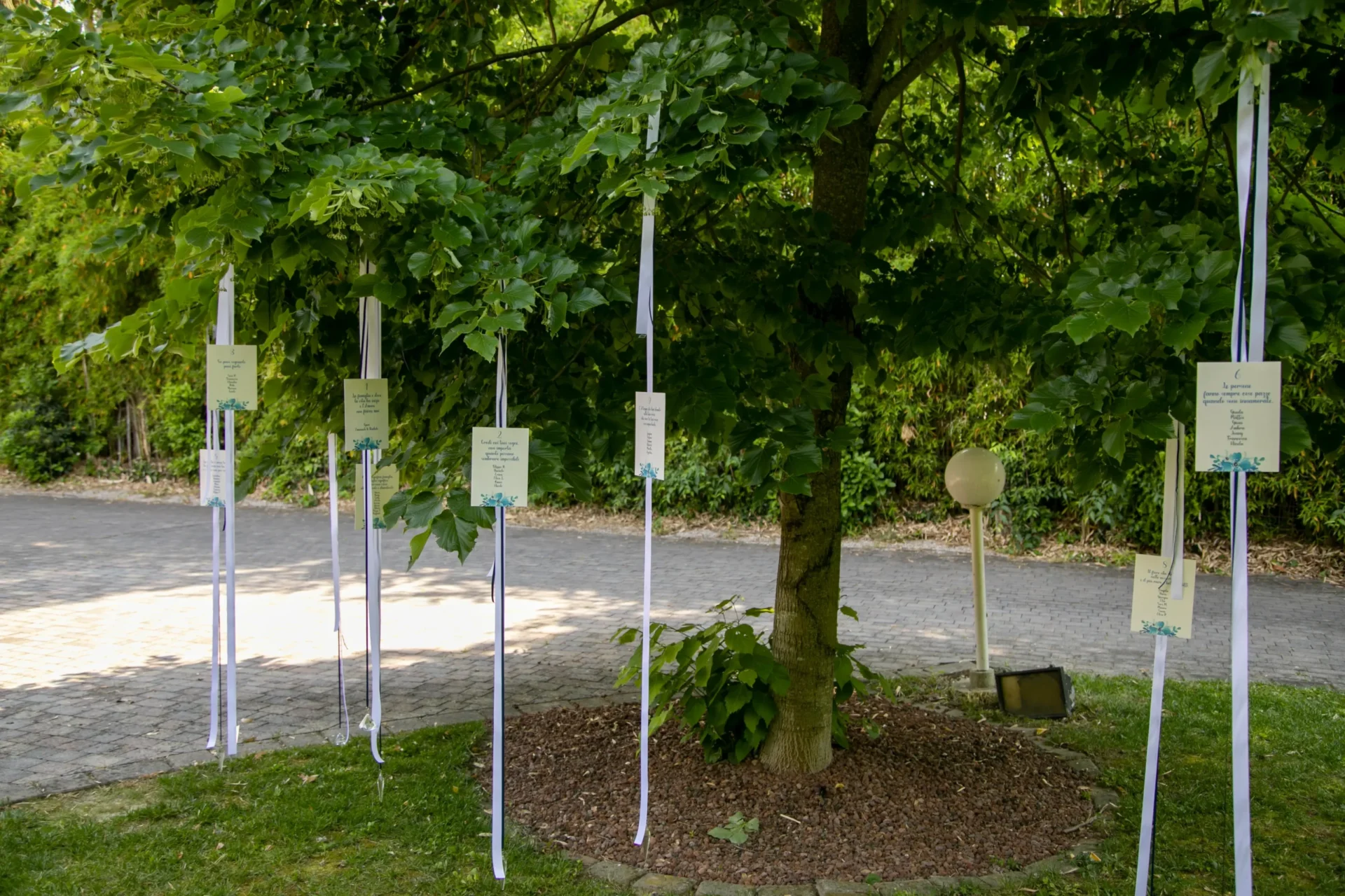 Fogli di carta appesi con dei nastri bianchi ai rami di un grande albero pieno di foglie, in un giardino