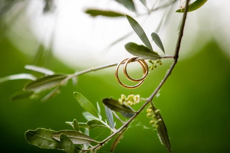 Primo piano macro di due fedi nuziali in oro giallo o bianco, appese a un piccolo ramoscello o a un rametto verde. Lo sfondo è un gradevole effetto bokeh di tonalità verde sfocato, che evoca la natura